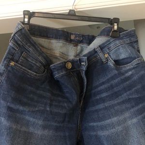 Kut from the Kloth Denim Shorts Size 14W